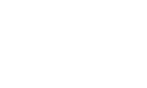NetalinissimLogo
